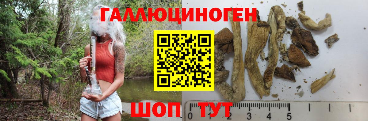 Галлюциногенные грибы Magic Shrooms  Вход с VPN  Богданович  Галлюциногенные грибы MAGIC MUSHROOMS 